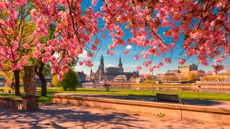 Deutschland Dresden Stadtansicht 121794747 | DRS12410