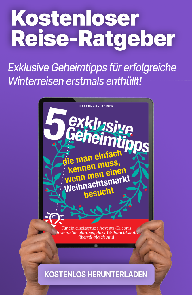 Weihnachtsmarkt e-Book